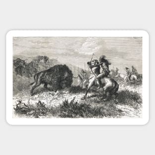 Indians hunting Buffalo in the 19th century Sticker
